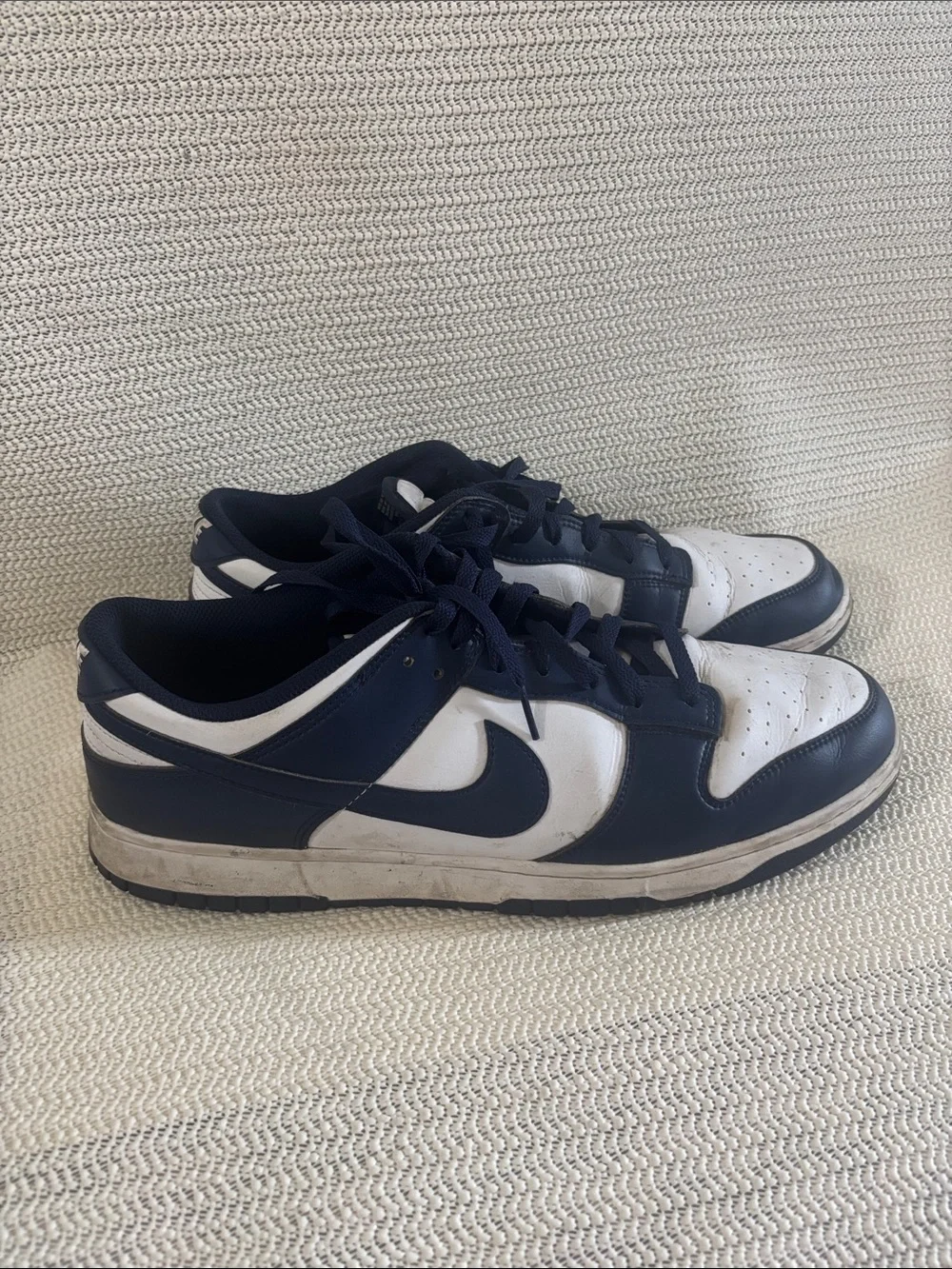 Nike Navy and White Low-Top Sneakers